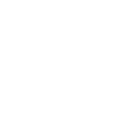 Amini logo