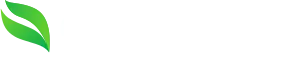 Green Flare logo