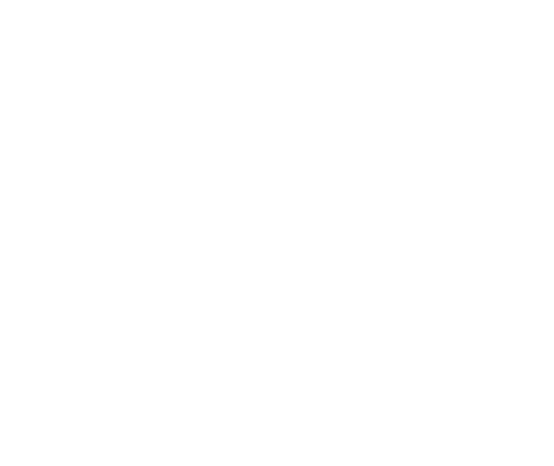 Snowstorm logo